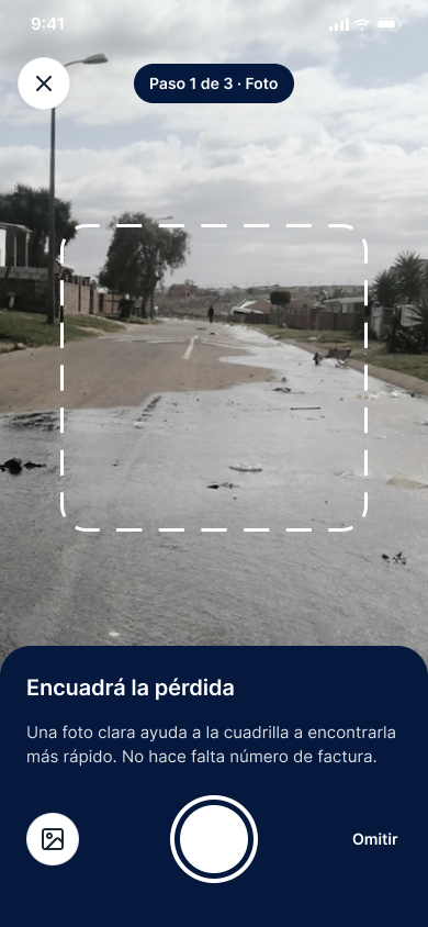 Paso 1: foto de la pérdida