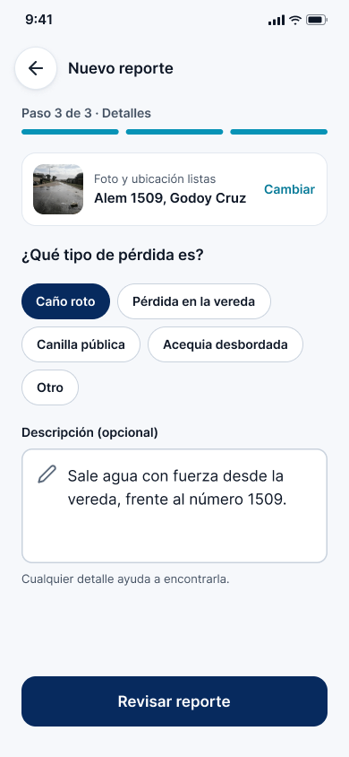 Paso 3: tipo de pérdida y descripción